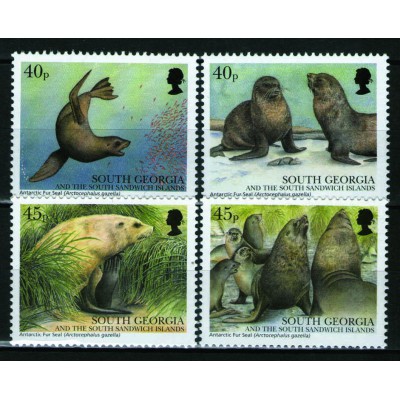 Foca peletera